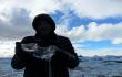 A gavau ledo (Prie eero, ledo eero. Jokulsarlon, Islandija)