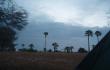 Labas pirmas rytas Jordanijoje - visai netoli oro uosto, iedins sankryos arimuose, utat su palmmis