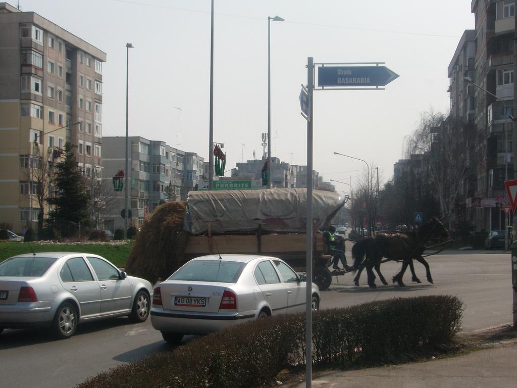 Arklio viraai iedinje sankryoje, Rumunija